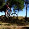 alonsoman28
