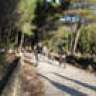 ElxBike