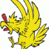 paco_gallo