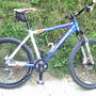 novoa10
