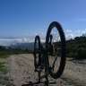 dorre207