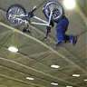 toxin-bmx