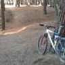 Chema*