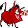 PUMBA