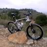 bullos