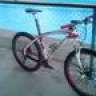 lokis