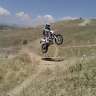 tigreton46