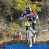 adria guardia
