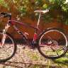 Barroso82