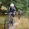 Alex29er