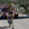 alcaide68
