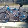 GILITO75