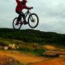 jaume_dirt