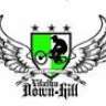 VDH_Team