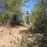freeride spirit