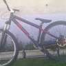 Denis dh
