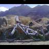 BEN-MTB