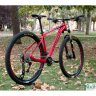 Lton101
