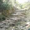 ribeboga