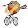 Robinbiker