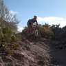 Cotufa