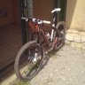 CARBONO.23