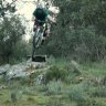 jorge 66