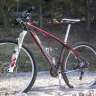 silverback29