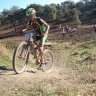 Pontes1991