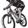 señor campagnolo