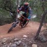 vins_freeride