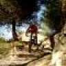 CARROS