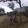 Perico_8