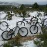 FACTOR BIKE