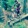 David Pena Alonso