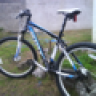 orgui83