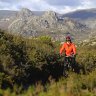 pica pedra