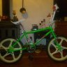 davilillo069