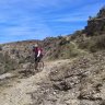 aliciab