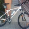 Elfer00
