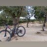 malfaro