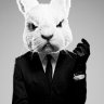 Mr Rabbit
