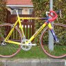 JAV75