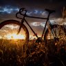 Nokon.cycles