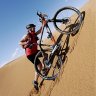 Mtb-jarvar
