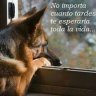 jony2