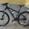 Pernia35