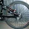 Alpiste