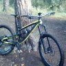 damian80