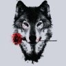 Steppen_Wolf